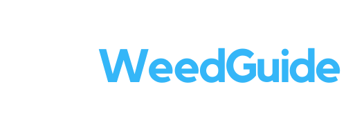 Copy of Copy of Copy of Copy of SpainWeedGuide (4)
